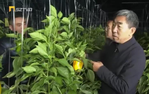 朔州人口_山西有个小城市,常住人口仅160万,但却被誉为京津地区的后花园