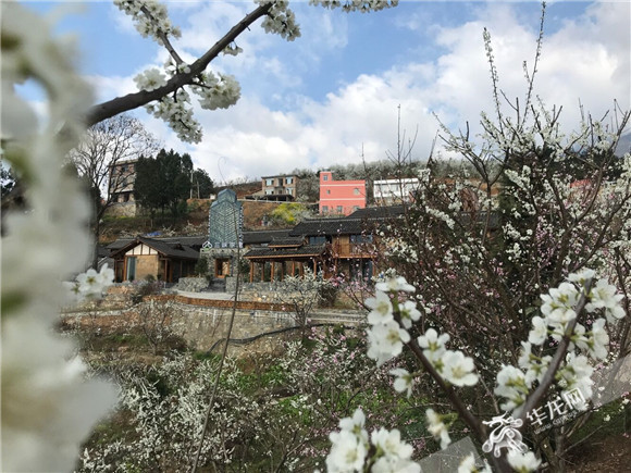 4春天，柑园村李花掩映中的精品民宿。华龙网-新重庆客户端记者 陈美西摄