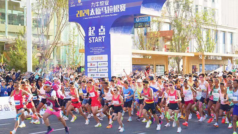 开云全站下载相关报道(图5)
