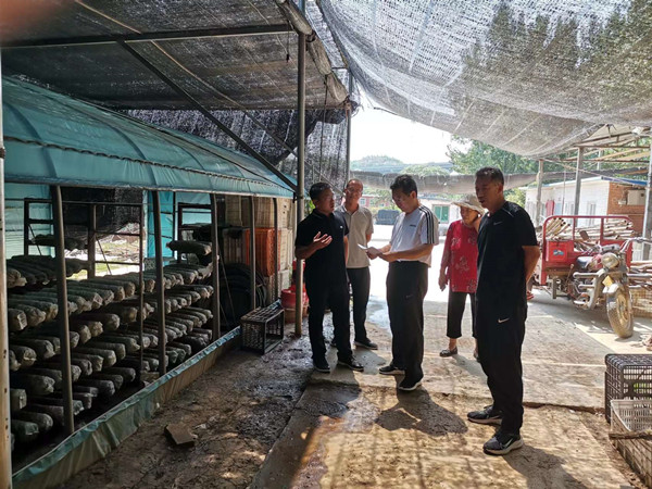 审计人员深入实地了解乡村振兴资金落实情况现场照片_副本.jpg