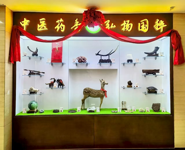 中药柜展示_副本.png 中药柜展示_副本.png