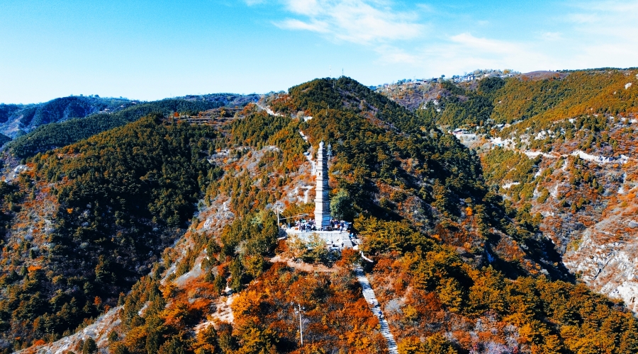 漫山红叶正当时