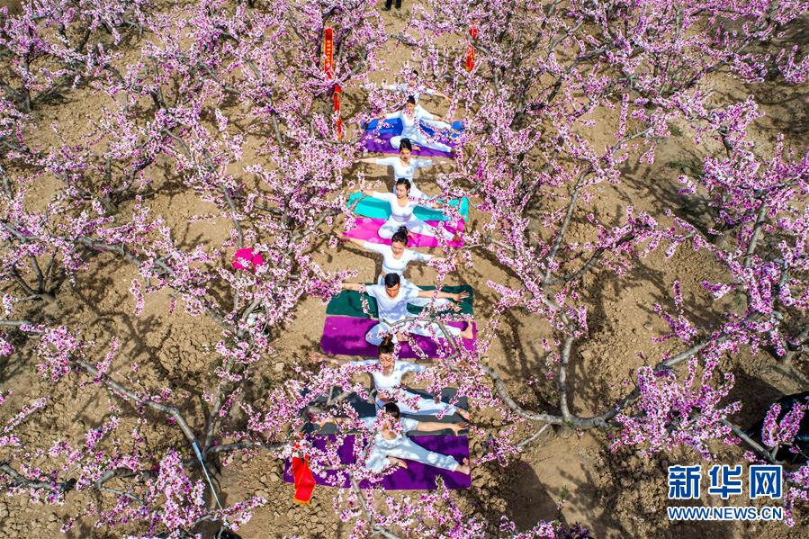 （春季美丽生态）（2）山西运城：桃花岭上桃花开