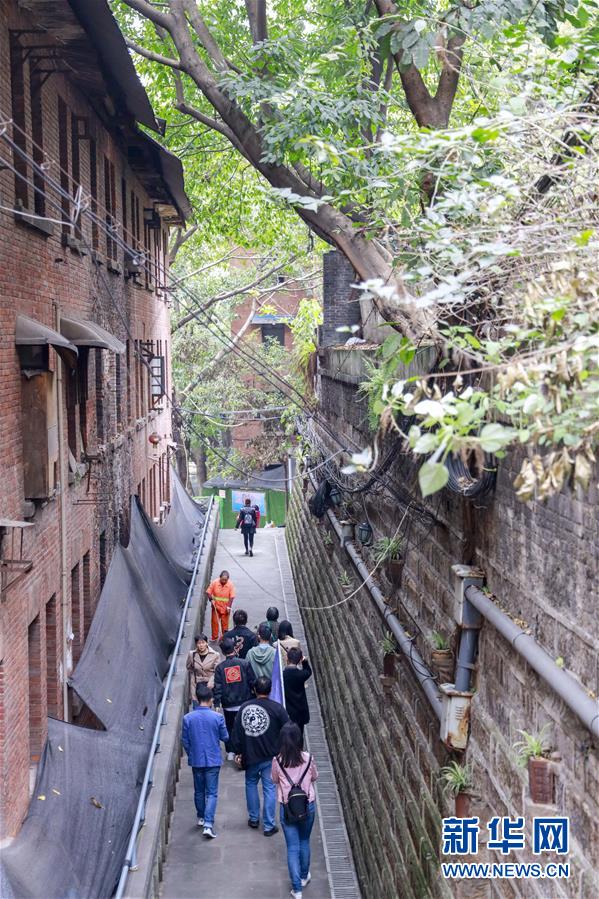 （城市绿道建设·图文互动）（2）重庆山城步道：徜徉在绿水青山间的乡愁记忆