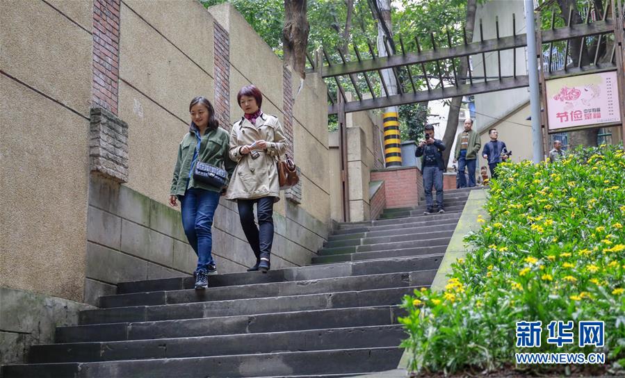 （城市绿道建设·图文互动）（5）重庆山城步道：徜徉在绿水青山间的乡愁记忆