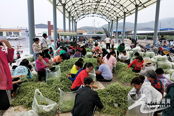 广灵县各乡镇gdp_大同市广灵县圆满完成乡镇党委换届