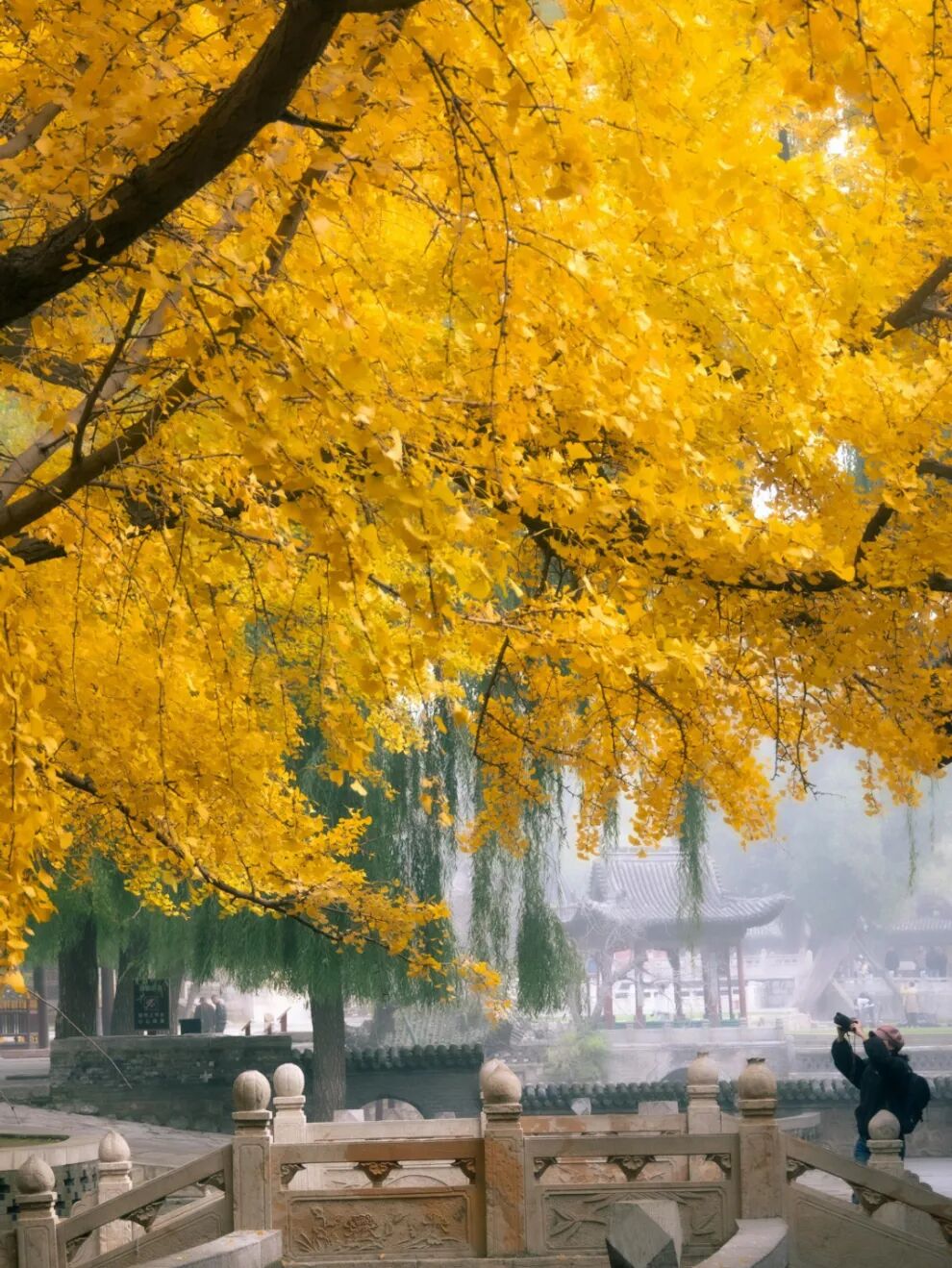 微信图片_2026-10-14_090930_088.jpg